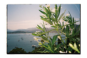 REALISTIC ANALOG FILM FRAME, a Social Media Template by El Oasis Market (Thumbnail 6 of 6)