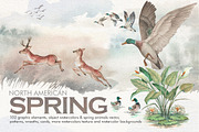 Watercolor North American Spring, an Illustration by Graphobia (Thumbnail 1 of 10)