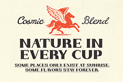 Royal Brune – Classic Font Duo, a Serif Font by Portocraft (Thumbnail 8 of 23)