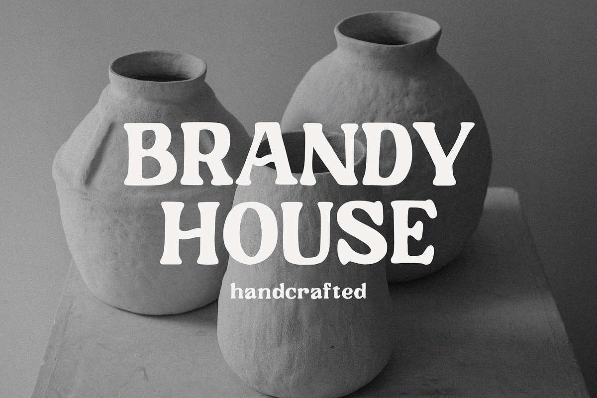 Sunday Bloom, a Serif Font by Prioritype Co (Photo 3 of 11)
