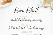 Sea Shell Script, a Script Font by tmcom (Thumbnail 13 of 13)