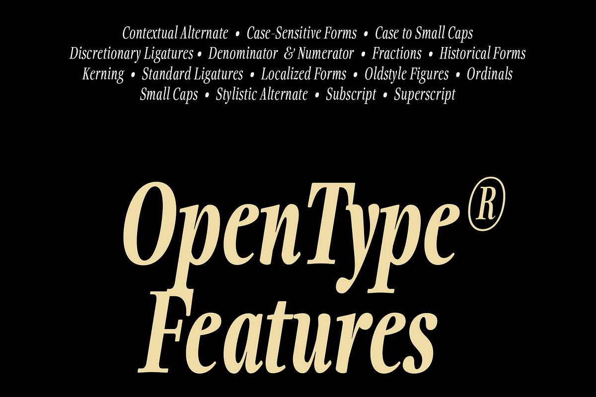 Fionas - 14 Fonts, a Serif Font by Nasir Udin (Photo 16 of 17)