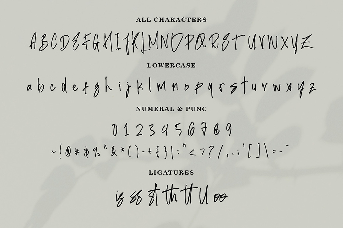 Bessary Hupies Signature, a Handwritten Font by Eltypesstudio (Photo 4 of 11)