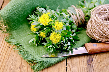 Rhodiola rosea on board