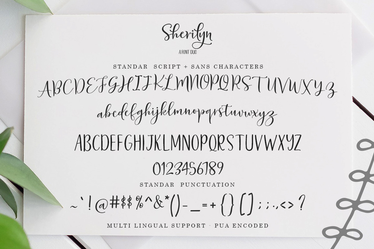 Sherilyn Script FONT DUO, a Script Font by Zane Studio (Photo 6 of 7)