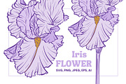 Iris Flower Purple Line Art Vector, an Illustration by ilonitta (Thumbnail 1 of 7)