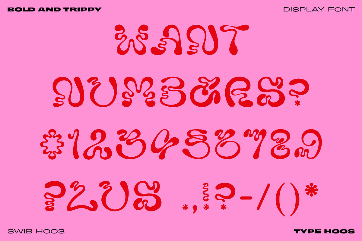 Swib Hoos - Display Font, a Handwritten Font by Type Hoos (Photo 7 of 8)