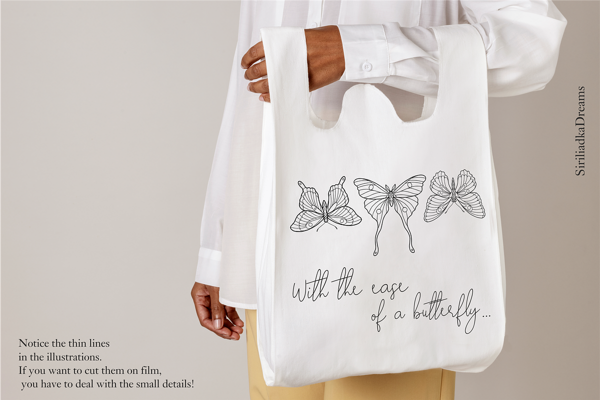 Insects Clipart - Black Line, PNG, an Illustration by Siriliadka Dreams (Photo 2 of 9)