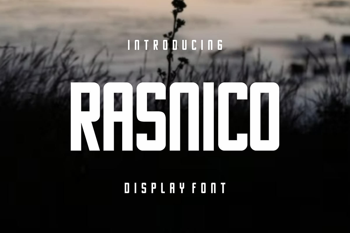 Rasnico, a Sans Serif Font by lelevien (Photo 1 of 6)