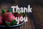 Summer Jelly font duo. Sale!, a Script Font by Red Ink (Thumbnail 12 of 12)