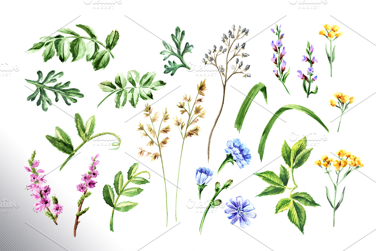 Summer Meadow, an Animal Illustration by Daria Ustiugova (Photo 5 of 6)