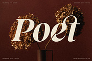 La Mystere - Editorial Serif Font, a Serif Font by SilverStag Type Foundry (Thumbnail 5 of 30)