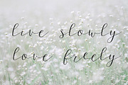 Wagon wheel Script Font, a Script Font by Kellie Jayne Studio (Thumbnail 4 of 10)