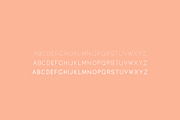 Oliver Font - 3 Weights Included, a Sans Serif Font by Salt & Pepper Designs (Thumbnail 6 of 9)