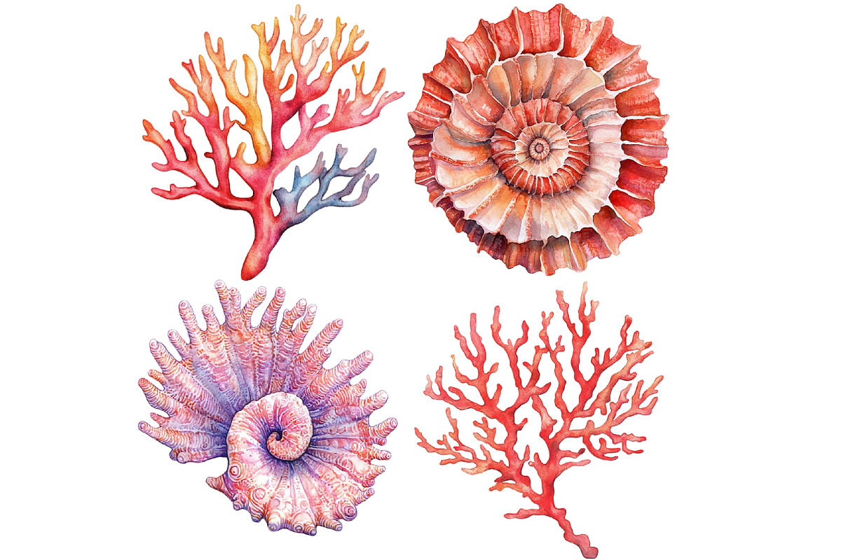 Coral Reef Clipart Bundle, an Illustration by Pixels.Craft (Photo 8 of 8)