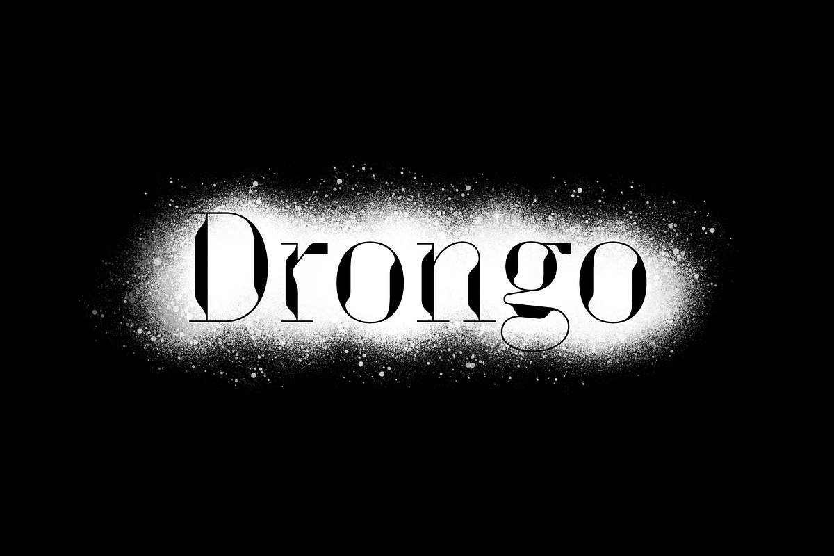 Drongo Font, a Serif Font by Yury Veselov (Photo 12 of 12)