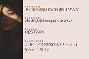 Naumia, a Serif Font by Kenrichi (Thumbnail 9 of 10)