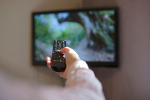 Hand hold figure of horse featuring tv, remote, and control