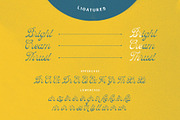 Hulahoy Typeface, a Script Font by alit design (Thumbnail 9 of 15)