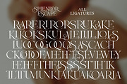 Splendor Escape - Elegant Serif, a Serif Font by Shakira Studio (Thumbnail 11 of 12)