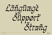 Charmer TM – Homebaked Calligraphy, a Font by Type Mania (Thumbnail 9 of 10)