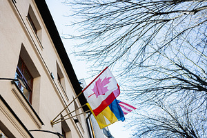 Flags representing various countries displayed outdoors against a bright clear, a Photo by AS photostudio
