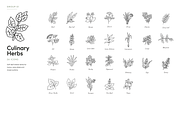 180 Botanical Ingredient Line Icons, an Outline Icon by Ilia Design (Thumbnail 12 of 13)