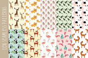 Cute Animals Vector World Map, an Animal Illustration by Pingebat (Thumbnail 8 of 14)