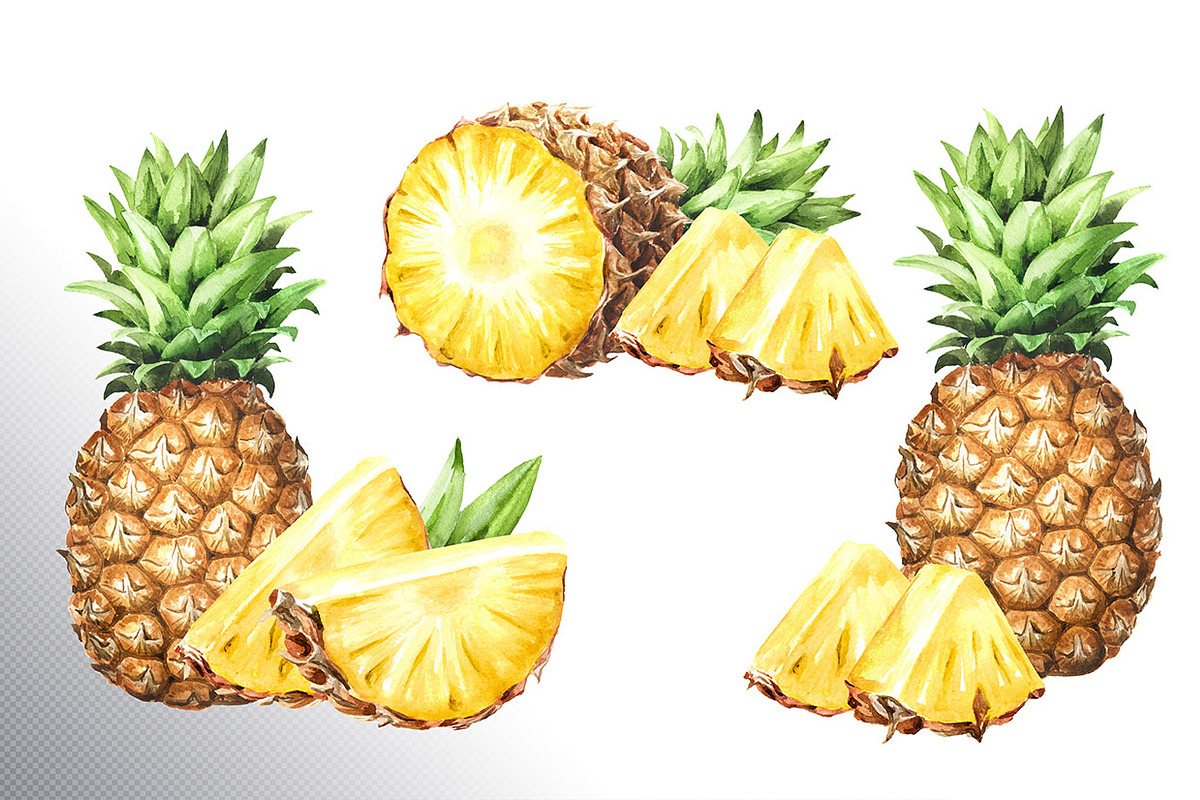 Tropical Pineapple. Hand painted, a Food Illustration by Daria Ustiugova (Photo 6 of 28)