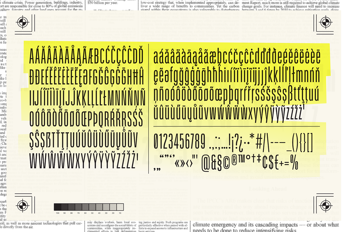 Schmidt: Narrow Variable Sans, a Sans Serif Font by nippytype (Photo 5 of 7)