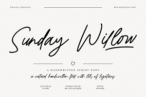 Sunday Willow Handwritten Script