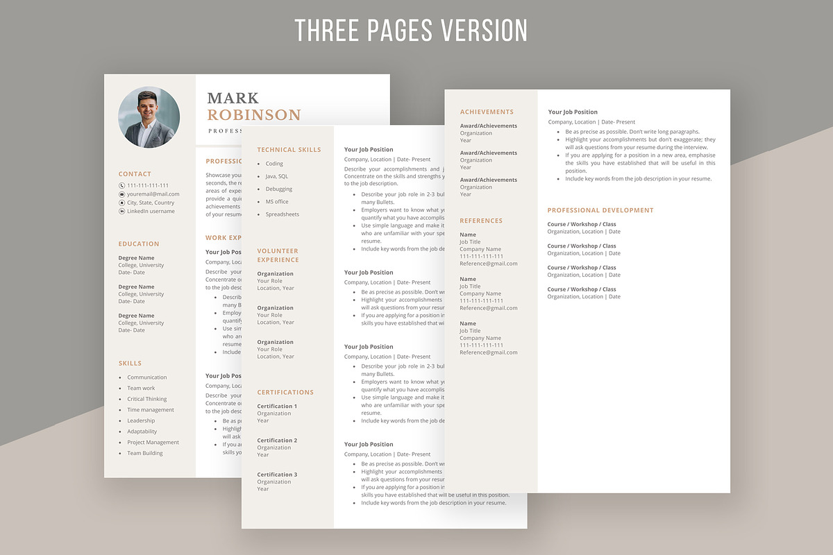 Professional CV template/ resume, a Resume Template by aivos (Photo 4 of 7)