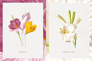 Vintage Flower Illustrations, an Illustration by Greta Ivy (Thumbnail 7 of 8)