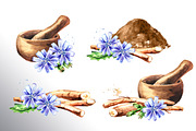 Chicory. Watercolor collection, a Food Illustration by Daria Ustiugova (Thumbnail 5 of 9)