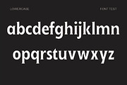 Ginfitanle, a Serif Font by studiobasic (Thumbnail 7 of 11)