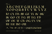 Syosta Work Display Serif Font, a Serif Font by Graphicxell (Thumbnail 7 of 7)