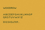 Woodrow I A Sans Serif Font, a Sans Serif Font by Taylor Penton (Thumbnail 3 of 3)