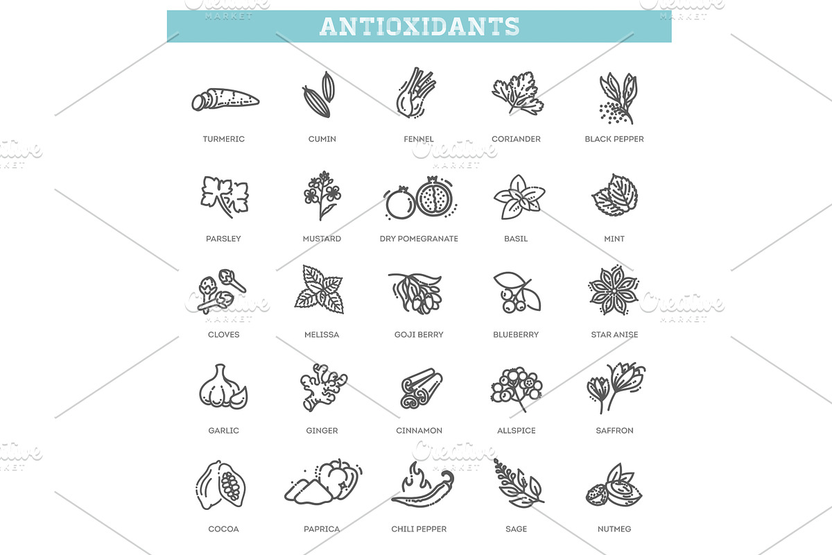 Antioxidant food, herbs and spices, a Food Illustration by Tettygreen