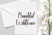 Dreaming Embroidery, a Handwritten Font by InermediaSTUDIO (Thumbnail 2 of 8)