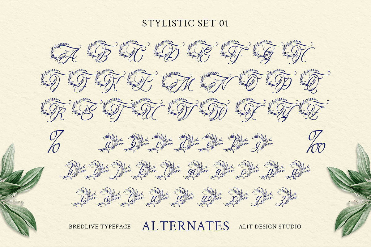 Bredlive Typeface, a Script Font by alit design (Photo 7 of 20)