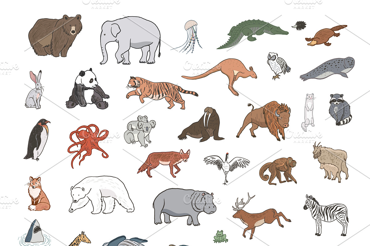 Animals World Map, an Animal Illustration by GooseFrol (Photo 7 of 28)