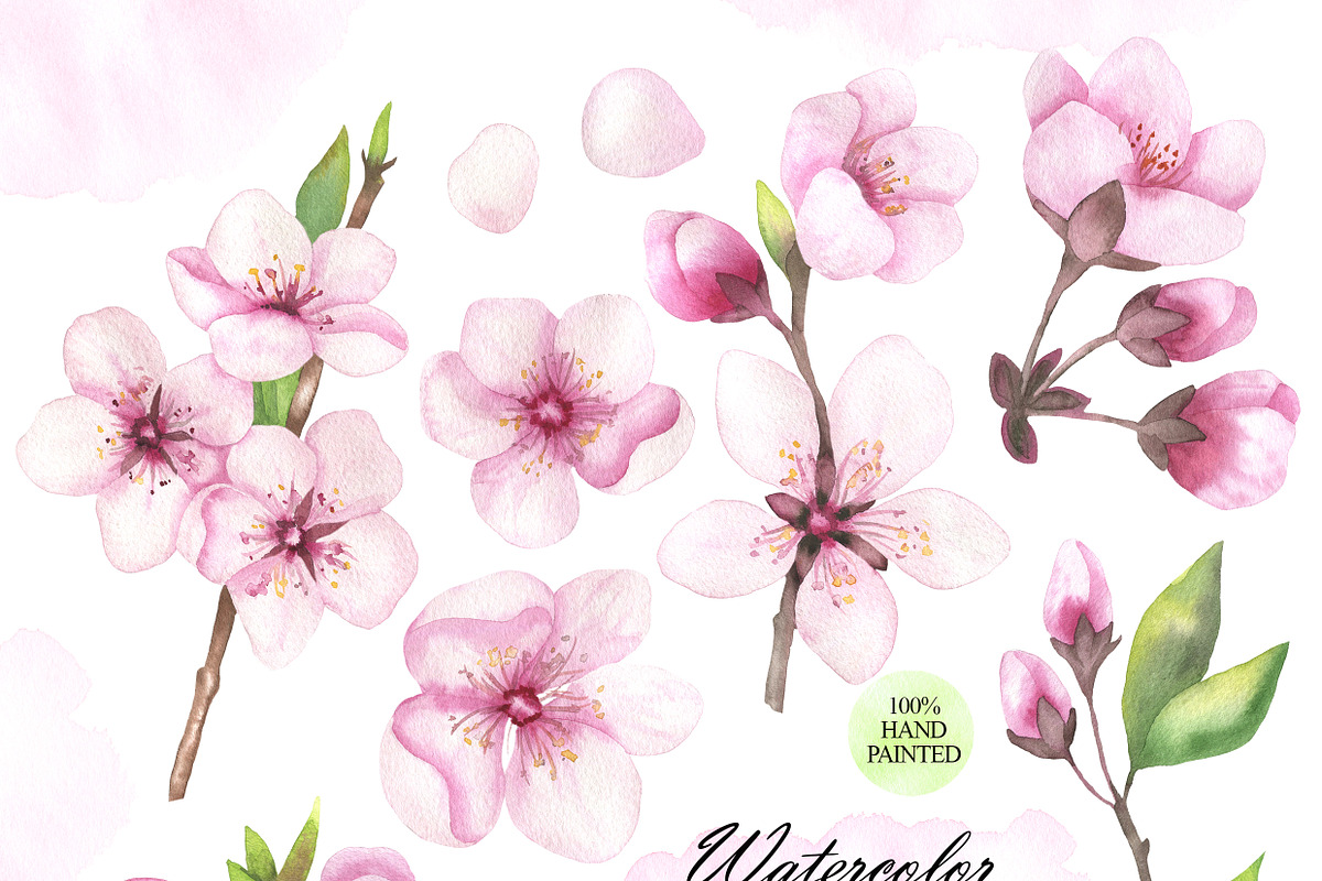 Cherry blossom watercolor clipart, an Illustration by OlDm_Shop (Photo 2 of 6)