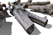 13 Tree Logs, an Environmental 3D Model by Beatheart Creative Studio (Thumbnail 21 of 37)