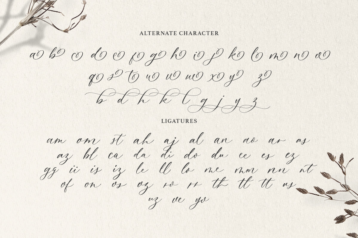 Dearly Heart - Feminine Script, a Script Font by Bale Type (Photo 8 of 10)