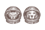 Astronaut Helmet, an Animal Illustration by alexrockheart (Thumbnail 6 of 9)