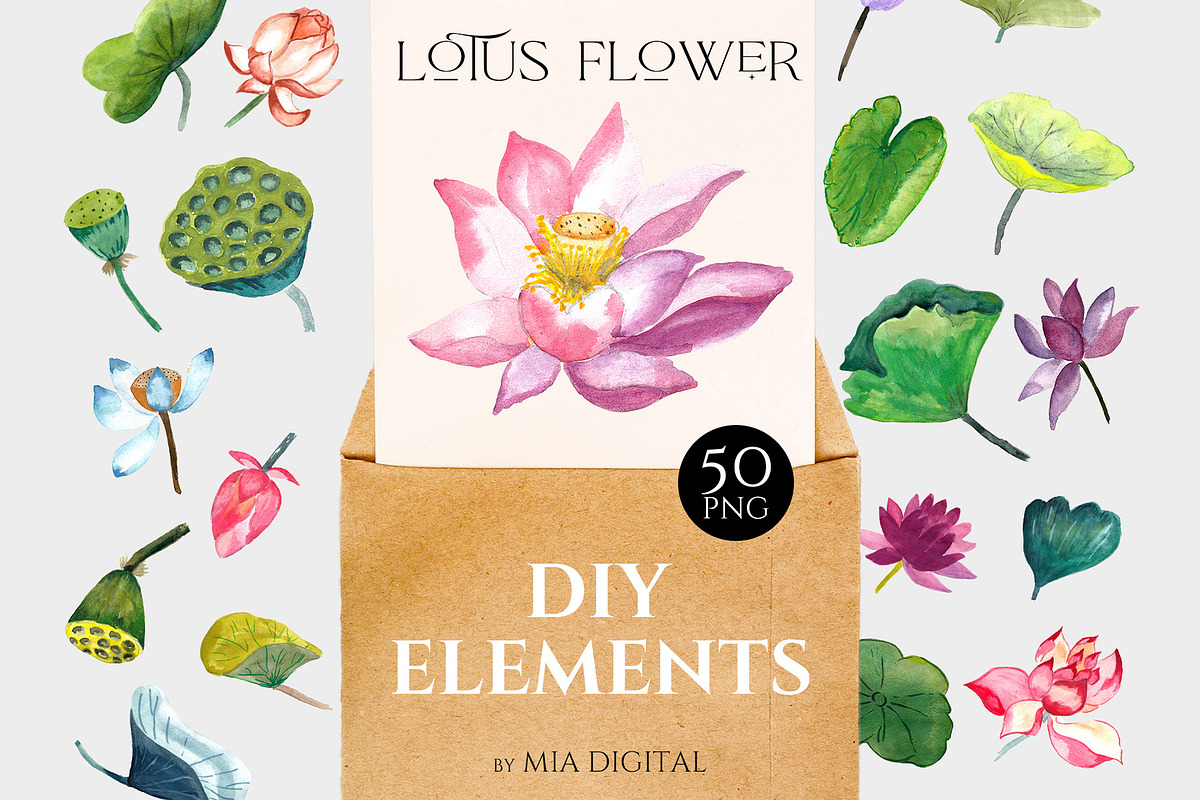 Lotus Flower, Water Lily Elements, an Illustration by Mia Digital (Photo 5 of 5)