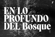 Alto Adige Serif Typeface, a Serif Font by Fenotype (Thumbnail 3 of 14)
