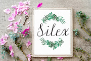 Silex Modern calligraphy, a Script Font by LABFcreations (Thumbnail 6 of 6)