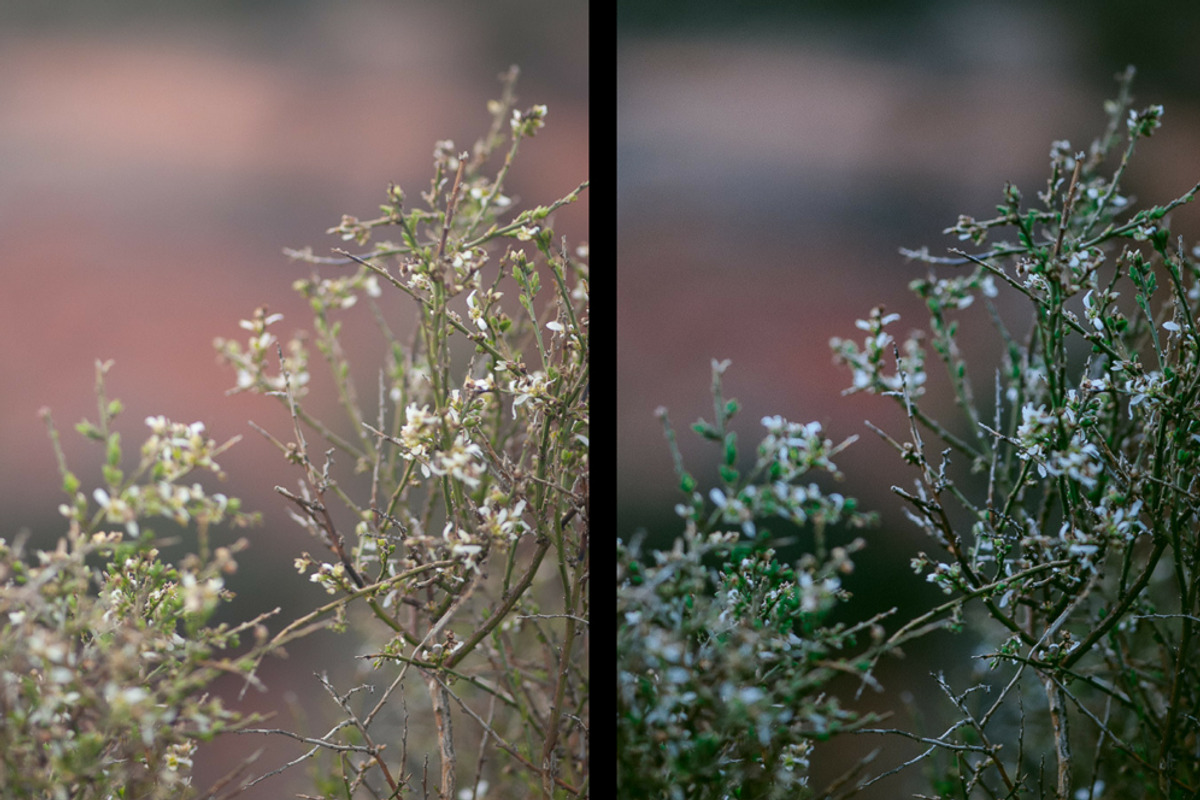 Apothecary Adobe Lightroom Preset preview 4