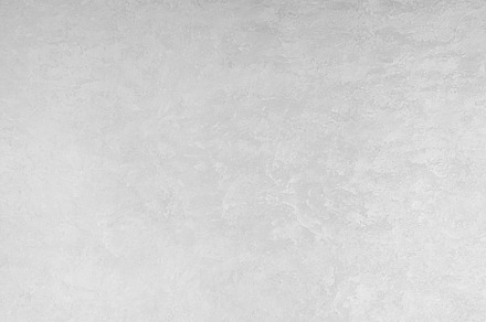 Modern stucco texture in light gray color creating an abstract background for d, a Background Photo by Eugene_Photo